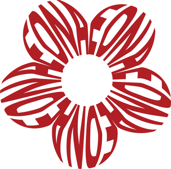Edna Studio